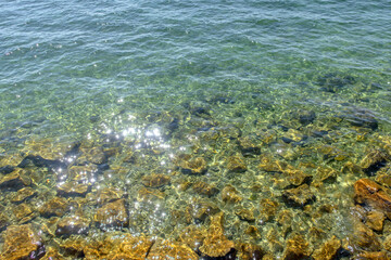 Sunny Spring of 2025