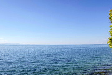 Sunny Spring of 2025