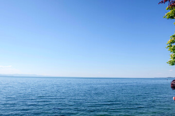 Sunny Spring of 2025