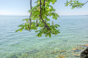 Sunny Spring of 2025