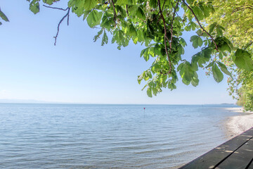 Sunny Spring of 2025