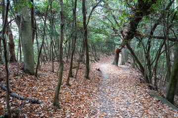 Kyoto Trail and surrounding area scenery