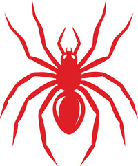 vector illustration of a Spider