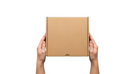 Hands holding cardboard box