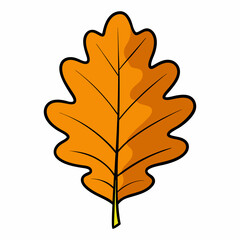 oak leaf vector illustration