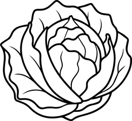 cabbage outline coloring book page line art vector illustration