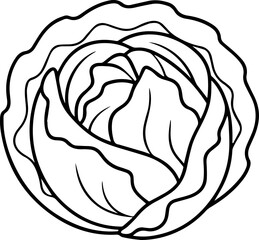 cabbage outline coloring book page line art vector illustration