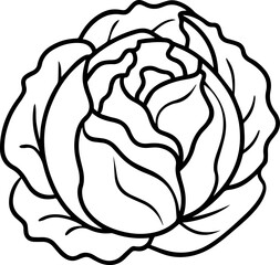 cabbage outline coloring book page line art vector illustration