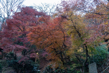 Kyoto Trail and surrounding area scenery