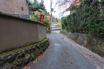 Kyoto Trail and surrounding area scenery