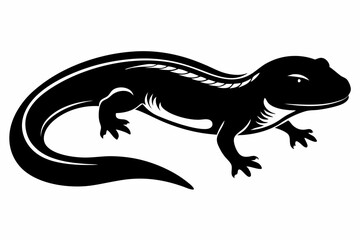 Fototapeta premium rough skinned newt sihouette black vector 