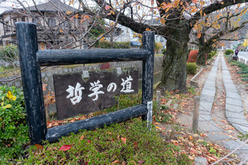 Kyoto Trail and surrounding area scenery