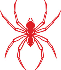 spider isolated on white background