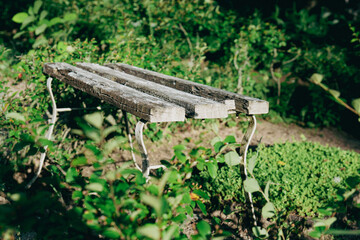 Old Wooden Garden Bench Overgrown by Greenery – Rustic Scene of Silence and Time
