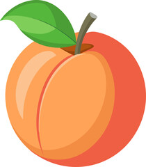vector illustration of an Peach