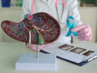 Causes, symptoms and treatment of liver cancer. Diagnosis of liver cancer and tumor treatment....