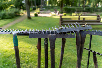 Rakes Standing in Row on Sunny Cemetery Lawn &ndash; Symbol of Community Labor and Service