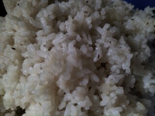 white rice background