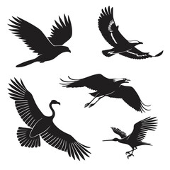Obraz premium Silhouette illustrations of various birds soaring in flight against a white background