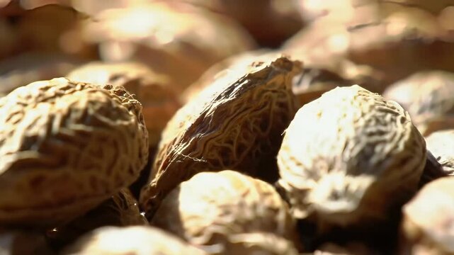 Psyllium Husk Closeup: High-Resolution Macro Photography of Dietary Fiber