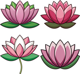 Four pink and white lotus flowers illustration