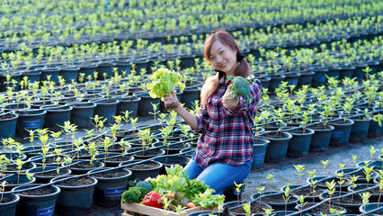 Smiling Asian female farmer showing freshly harvested organic broccoli and lettuce while kneeling...