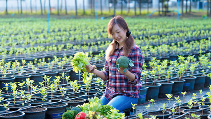 Asian female farmer proudly holding fresh organic lettuce and broccoli while kneeling in a lush...