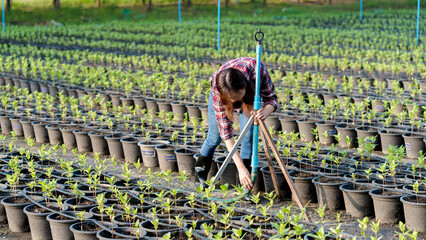 Young female farmer adjusting irrigation system in plant nursery, demonstrating modern agricultural techniques for sustainable crop cultivation outdoors