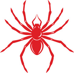 spider on a white background
