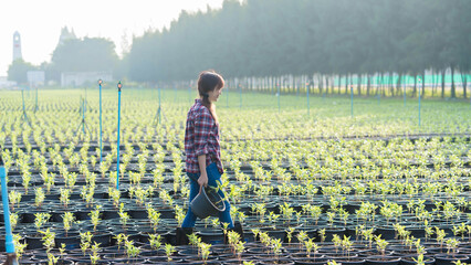 Young woman farmer walking through green nursery field holding potted plant, promoting organic gardening, sustainability, and agricultural lifestyle