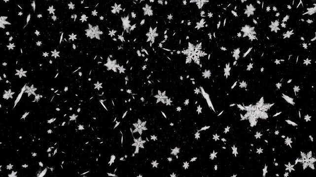 Falling snowflakes on black background, winter holiday season abstract snow, white snowflake shapes. Winter background.