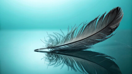 Single dark feather on teal reflective surface