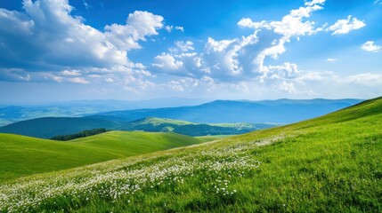 Fototapeta premium Green hills under blue sky