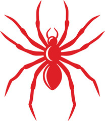 red spider isolated on white background