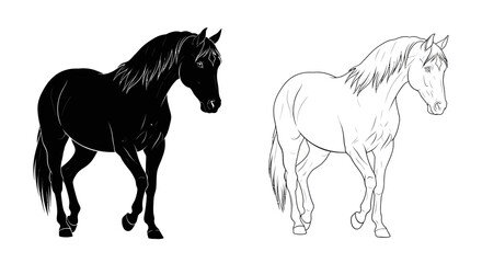 Two Horses Illustration: Black Silhouette and White Outline, Walking Pose