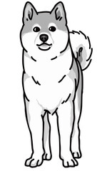 柴犬　shiba　犬のイラスト　白黒