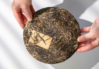 Hand holding a disc of pressed tea leaves with intricate details in a well-lit setting