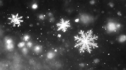 Magnificent Snowflake Macro Photography: Winter Wonderland