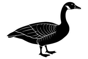 goose isolated on white background