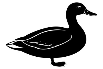 duck on white background