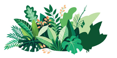 Tropical leaves foliage plant jungle bush floral arrangement nature backdrop isolated on white background