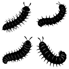 Four black millipede silhouettes crawling in different directions on a white background surface view