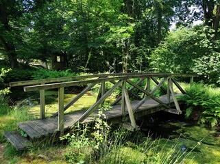 wooden bridge in the forest