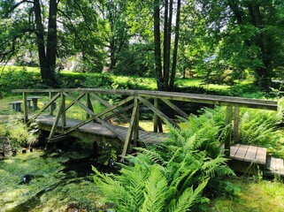 bridge in the forest