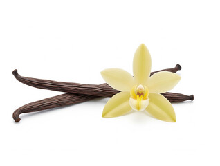 Isolated Vanilla Bean Picture Image, Vanilla Flavor Isolated Image, Vanilla Pod Bean Flavor Image Picture.