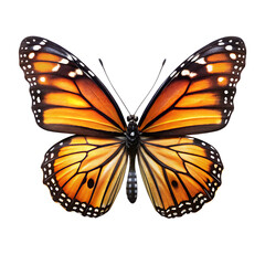 Fototapeta premium Vivid Orange Monarch Butterfly Detailed Wings Black Background A I G E N E R A T E D isolated on a transparent background