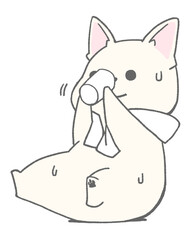 French bulldog sitting and drinking water (white)