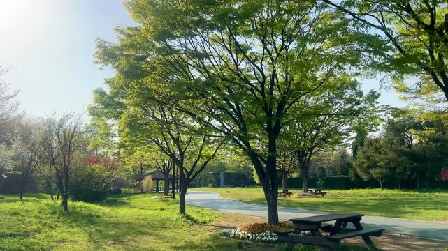 Peaceful Afternoon in Relaxing City Park Landscape