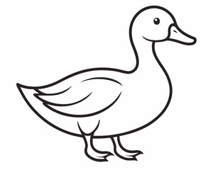 duck on white background