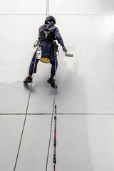 Real life worker labour painter construction worker climbing up hanging on wall painting the building wall